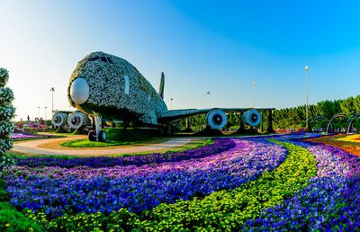 Bucuria călătoriilor de primăvară: Descoperă magia anotimpului renașterii