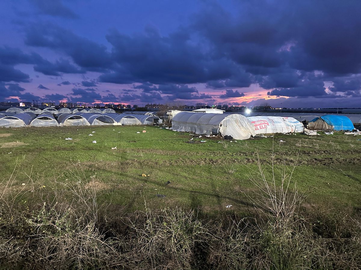 Unde se joacă amicalul Dinamo - Novi Pazar