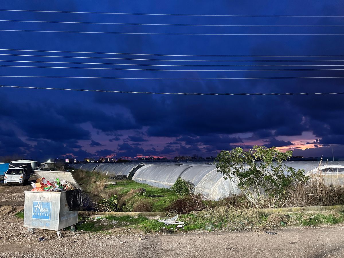 Unde se joacă amicalul Dinamo - Novi Pazar