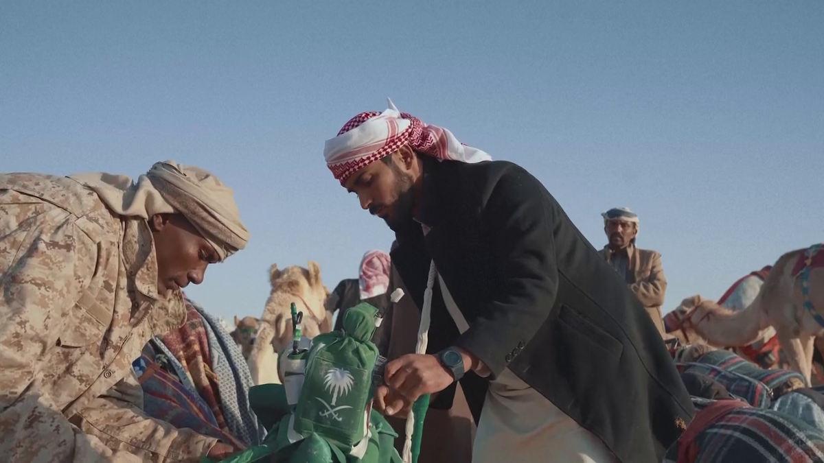 Festivalul cămilelor din Arabia Saudită - ediția 2024