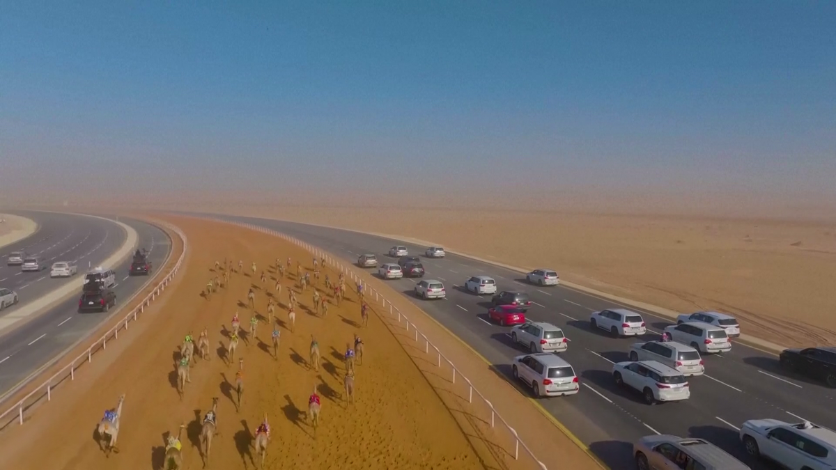 Festivalul cămilelor din Arabia Saudită - ediția 2024