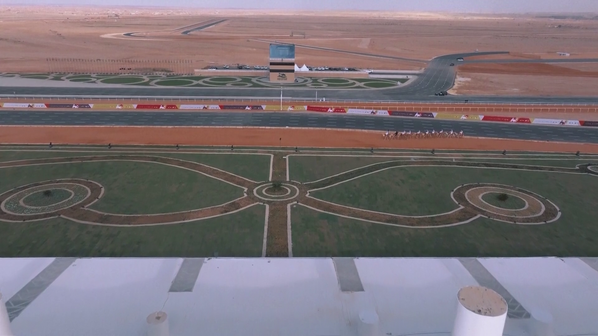 Festivalul cămilelor din Arabia Saudită - ediția 2024