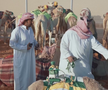 Festivalul cămilelor din Arabia Saudită - ediția 2024