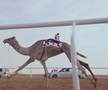 Festivalul cămilelor din Arabia Saudită - ediția 2024