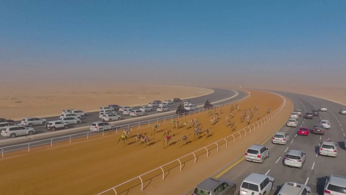 Festivalul cămilelor din Arabia Saudită - ediția 2024