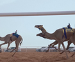 Festivalul cămilelor din Arabia Saudită - ediția 2024