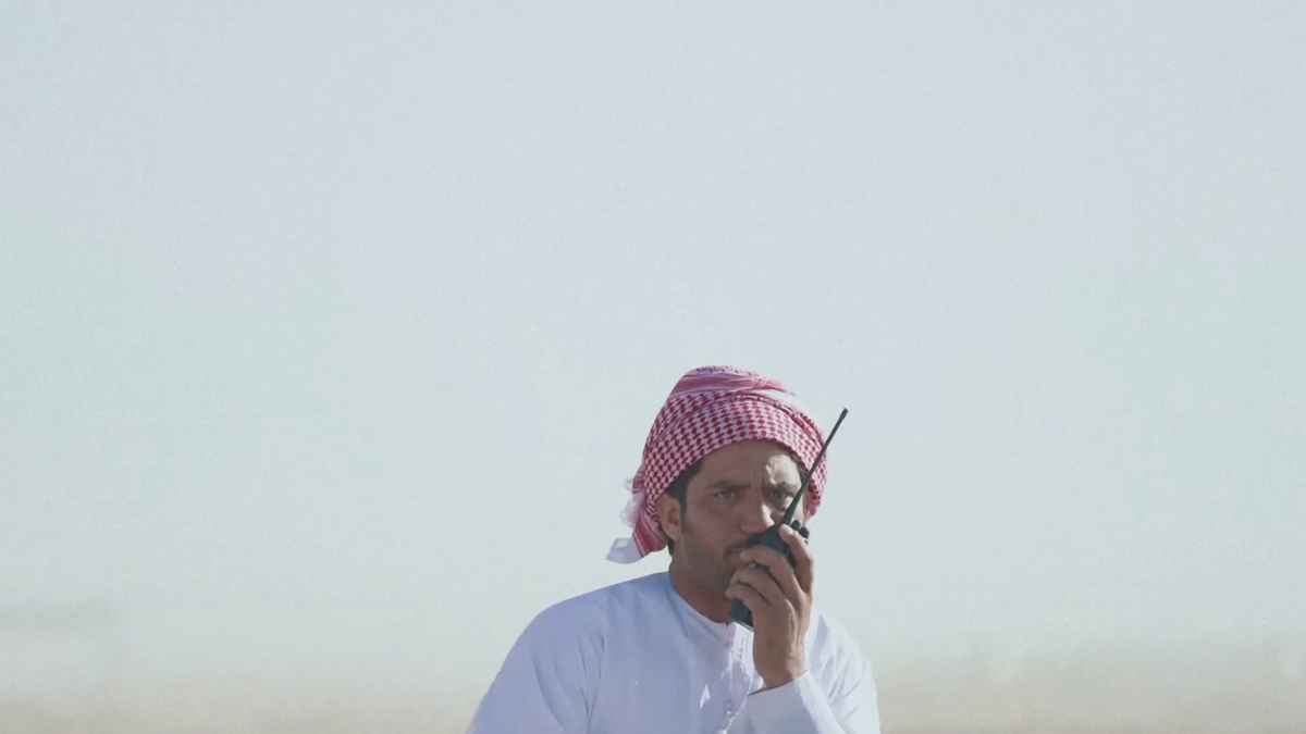 Festivalul cămilelor din Arabia Saudită - ediția 2024