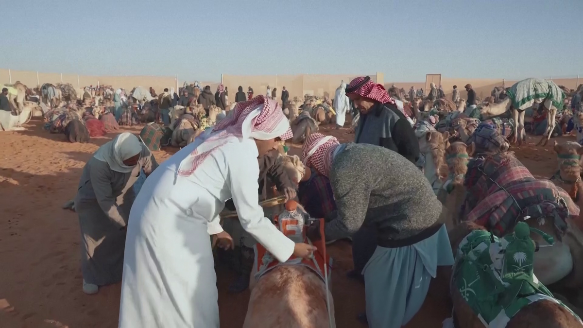 Festivalul cămilelor din Arabia Saudită - ediția 2024