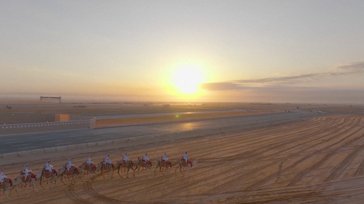 Festivalul cămilelor din Arabia Saudită - ediția 2024