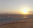 Festivalul cămilelor din Arabia Saudită - ediția 2024