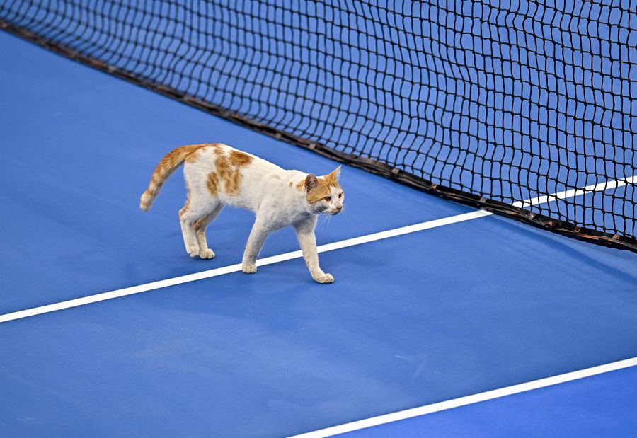 Oaspete inedit la meciurile de la Doha » A întrerupt deja două meciuri