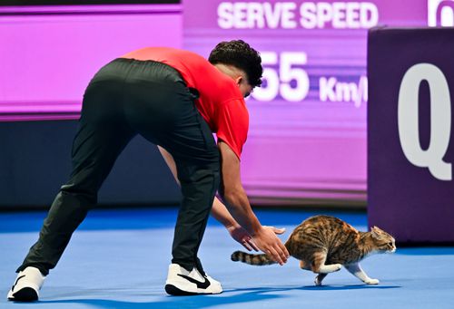 Oaspete inedit la turneul de la Doha FOOT Imago Images