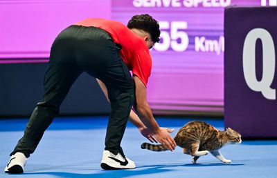 Oaspete inedit la meciurile de la Doha » A întrerupt deja două meciuri