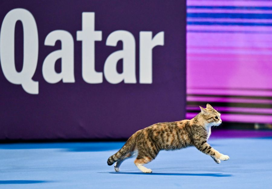 Oaspete inedit la meciurile de la Doha » A întrerupt deja două meciuri