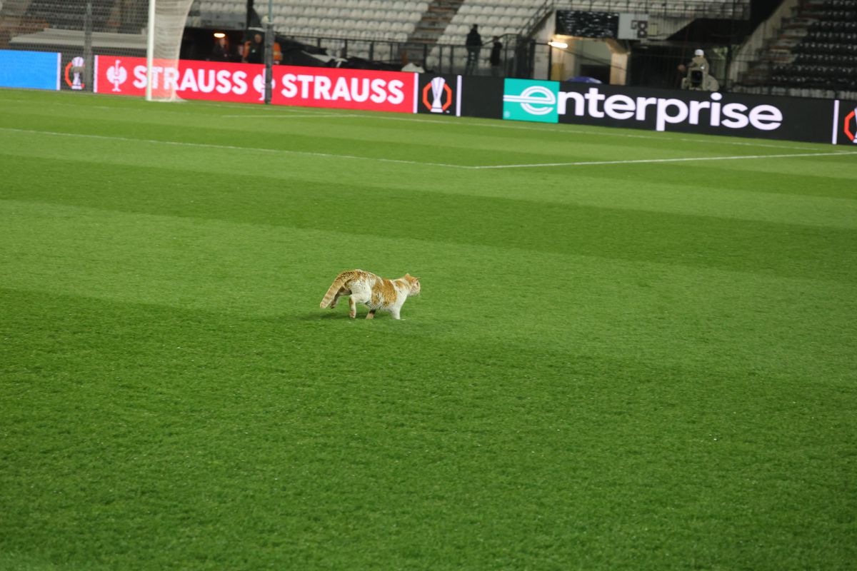 PAOK - FCSB » Delegația roș-albaștrilor, în frunte cu Mihai Stoica, în inspecție pe „Toumba”