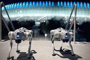 Câinii-robot K9-X vor face legea la Campionatul Mondial: au costat 145.000 $