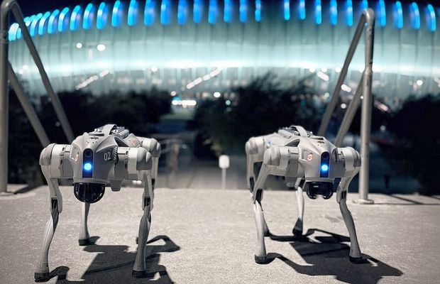 Câinii-robot K9-X vor face legea la Campionatul Mondial: au costat 145.000 $