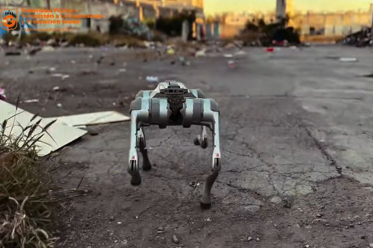 Câinii-robot K9-X vor face legea la Campionatul Mondial: au costat 145.000 $