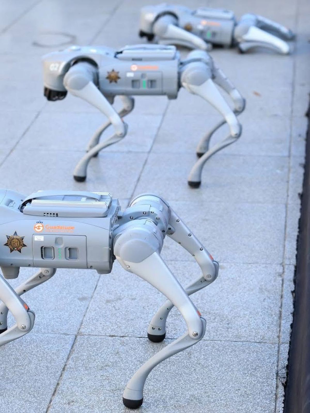 Câinii-robot K9-X vor face legea la Campionatul Mondial: au costat 145.000 $