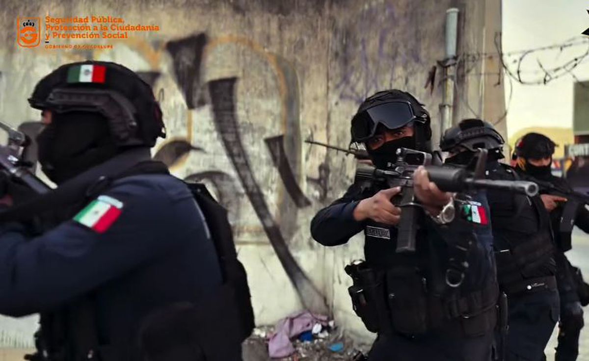 Câinii-robot K9-X vor face legea la Campionatul Mondial