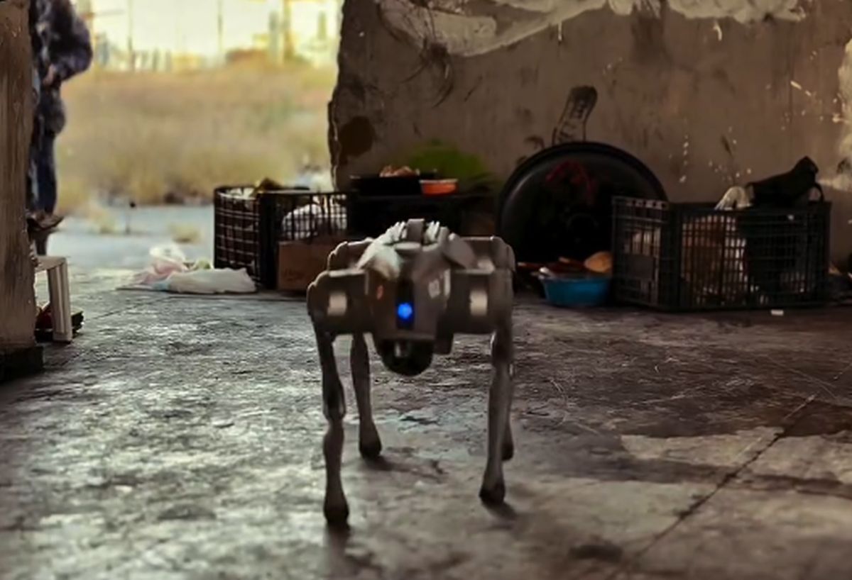 Câinii-robot K9-X vor face legea la Campionatul Mondial: au costat 145.000 $