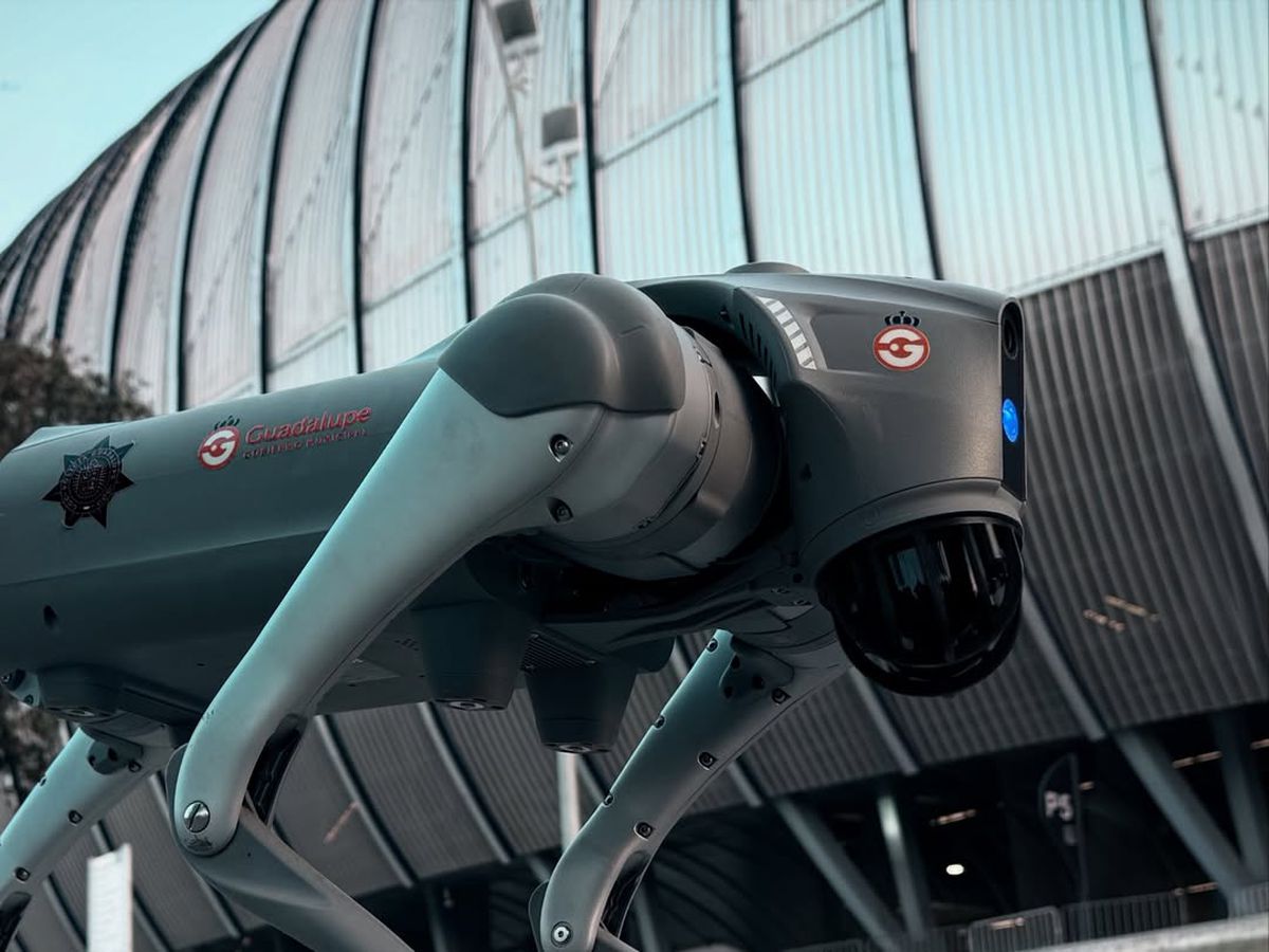 Câinii-robot K9-X vor face legea la Campionatul Mondial: au costat 145.000 $