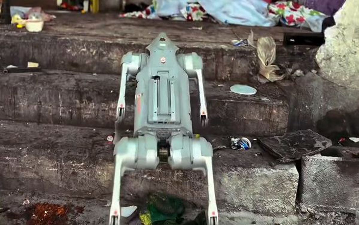 Câinii-robot K9-X vor face legea la Campionatul Mondial: au costat 145.000 $