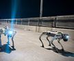 Câinii-robot K9-X vor face legea la Campionatul Mondial: au costat 145.000 $
