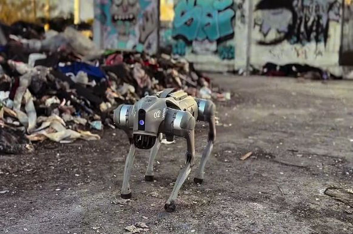 Câinii-robot K9-X vor face legea la Campionatul Mondial: au costat 145.000 $