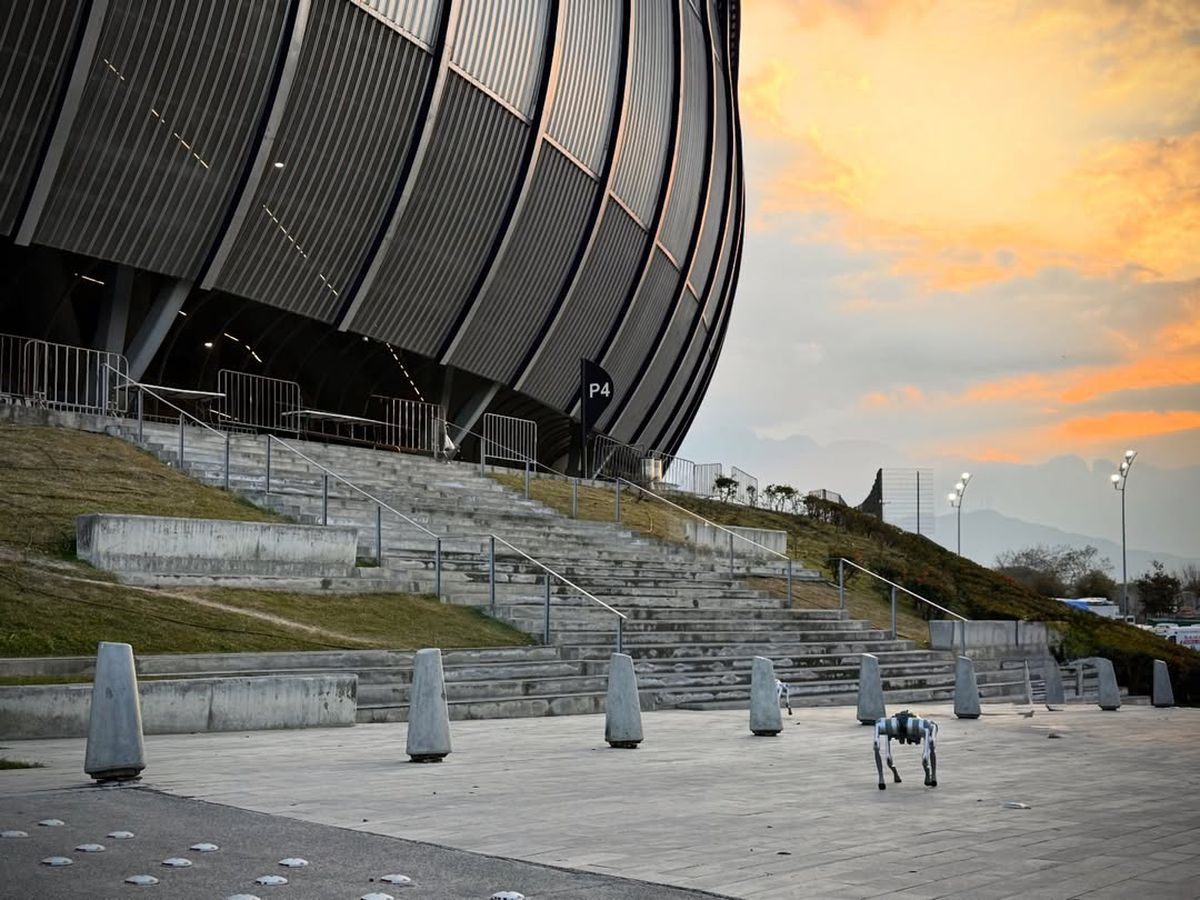 Câinii-robot K9-X vor face legea la Campionatul Mondial: au costat 145.000 $