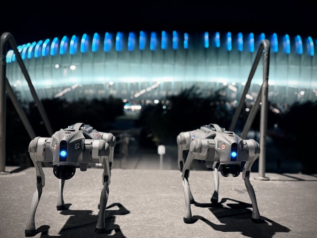 Câinii-robot K9-X vor face legea la Campionatul Mondial: au costat 145.000 $