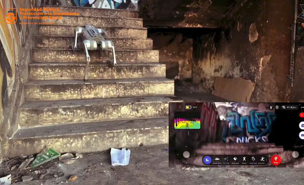 Câinii-robot K9-X vor face legea la Campionatul Mondial