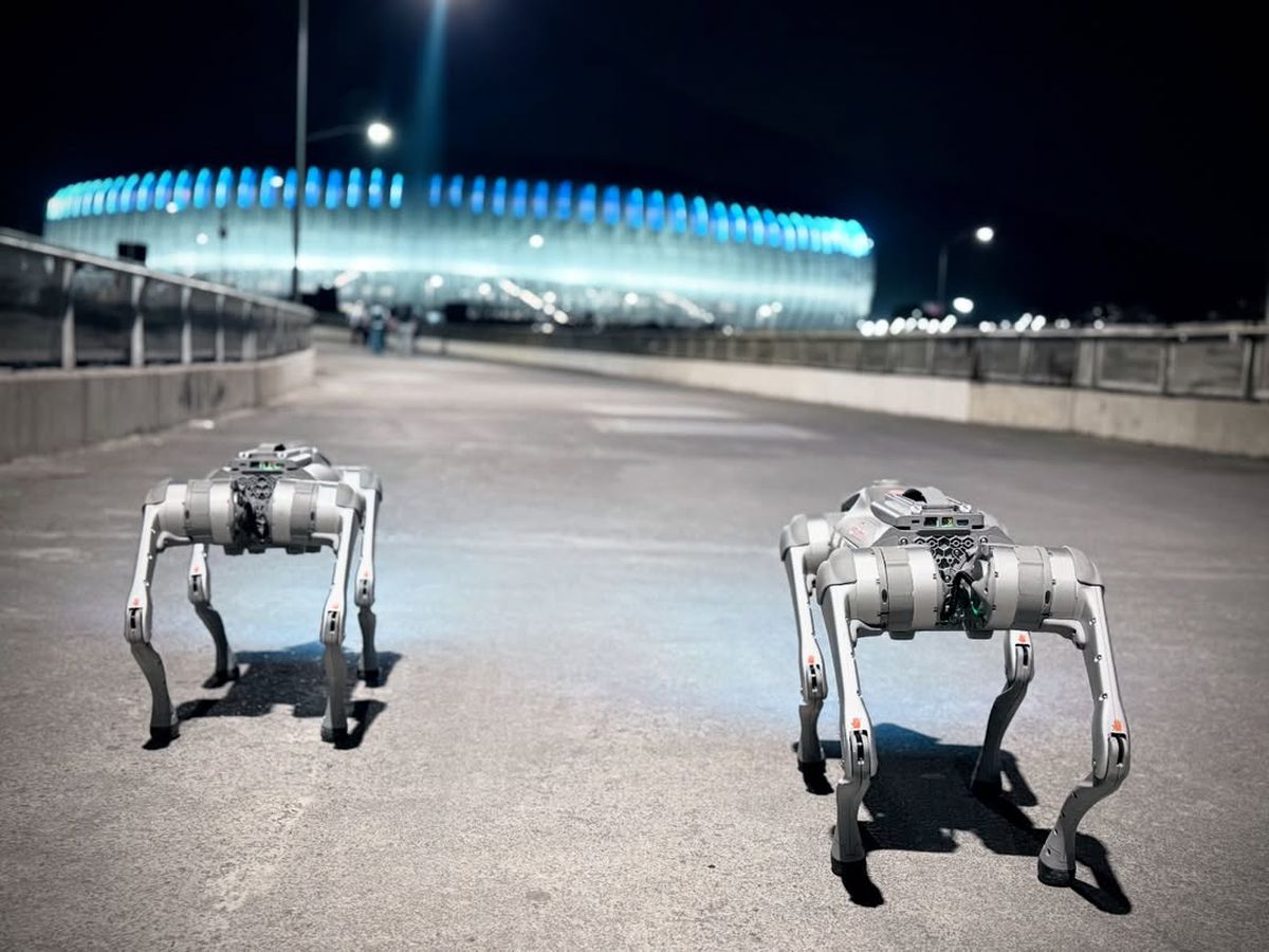 Câinii-robot K9-X vor face legea la Campionatul Mondial: au costat 145.000 $