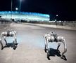 Câinii-robot K9-X vor face legea la Campionatul Mondial: au costat 145.000 $