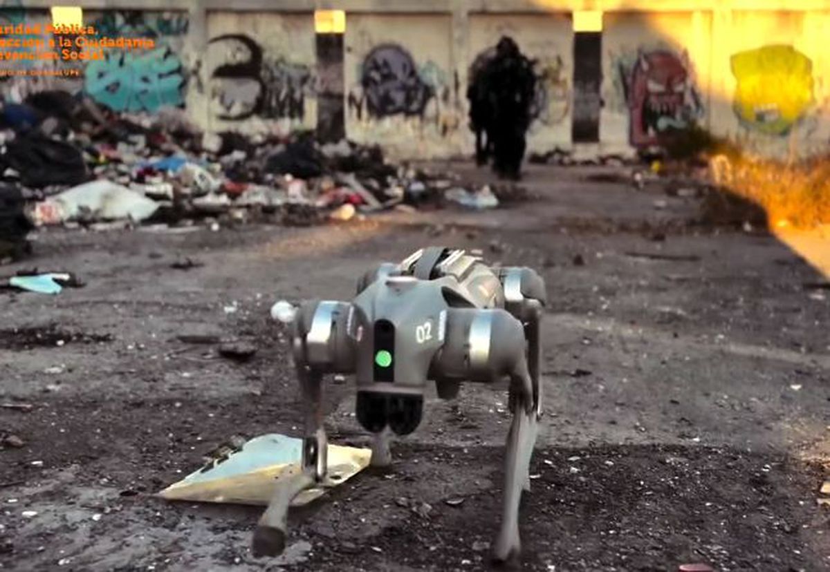 Câinii-robot K9-X vor face legea la Campionatul Mondial