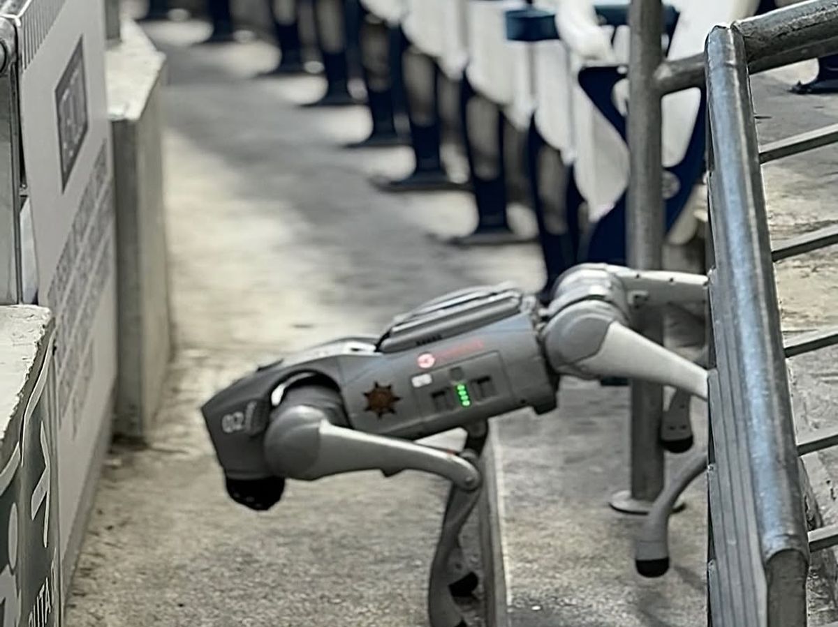 Câinii-robot K9-X vor face legea la Campionatul Mondial: au costat 145.000 $