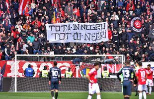 Banner-ul cu aluzie rasistă trecut cu vederea la Dinamo - Poli Timișoara: „Toți în negru...” » „Câinii” au comis și o eroare gramaticală