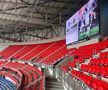 Imagini înainte de Lyon - FCSB