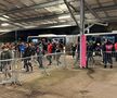 Imagini înainte de Lyon - FCSB
