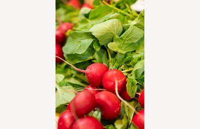 Primele verdețuri românești de anul acesta au ajuns în Piața Lidl