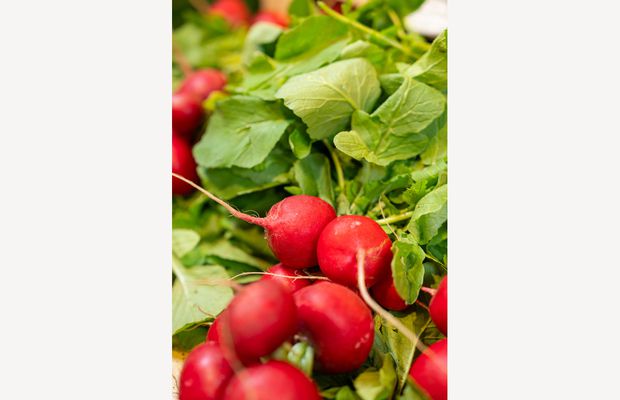 Primele verdețuri românești de anul acesta au ajuns în Piața Lidl