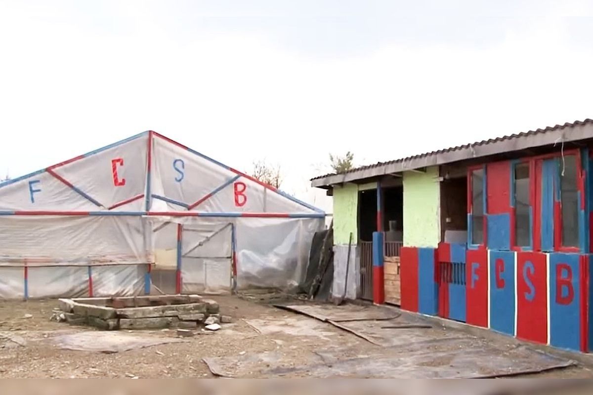 Pasiunea pentru FCSB nu are limite » Un oltean și-a vopsit locuința în roș-albastru: „Fac și cotețele la porci și găini”