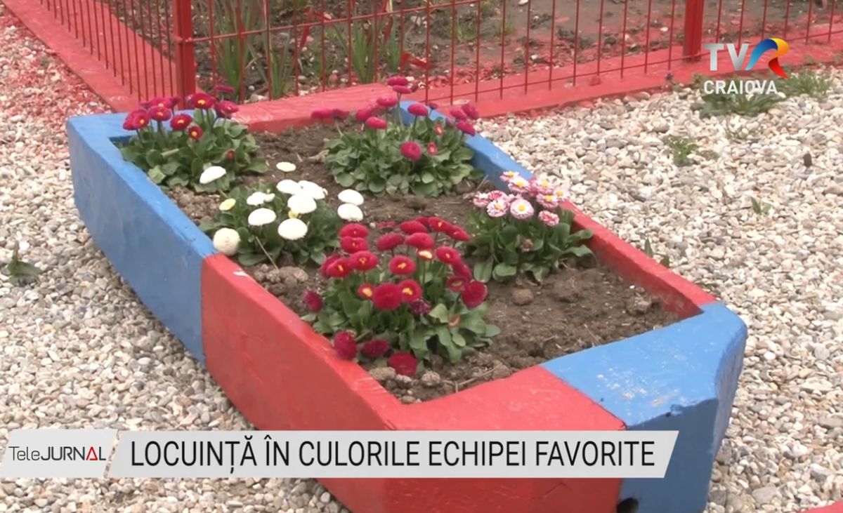 Pasiunea pentru FCSB nu are limite » Un oltean și-a vopsit locuința în roș-albastru: „Fac și cotețele la porci și găini”