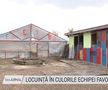 Florin, fan FCSB, și-a vopsit locuința în roș-albastru