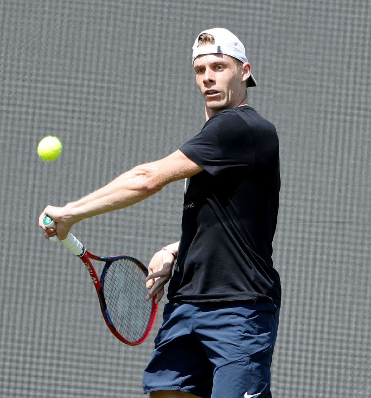 Denis Shapovalov ever green