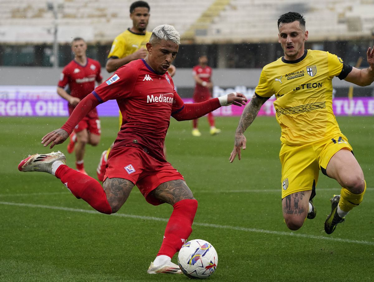 Fiorentina - Parma