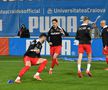 Fotografii înainte de Universitatea Craiova - FCSB/ FOTO: Cristi Preda (GSP)
