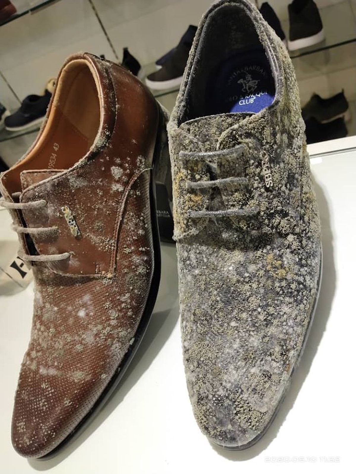 COVID-19. Imagini horror din mall! Pantofii și gențile, distruse de mucegai după ce magazinul a fost închis 2 luni