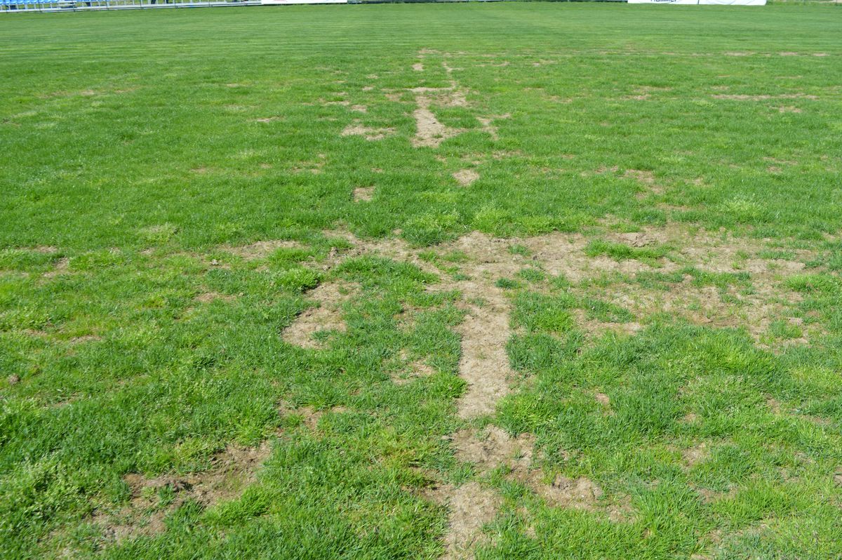 Aici e „zona crepusculară” a diviziei secunde » Cum a ajuns Comuna Recea „sperietoarea” cluburilor din Liga 2