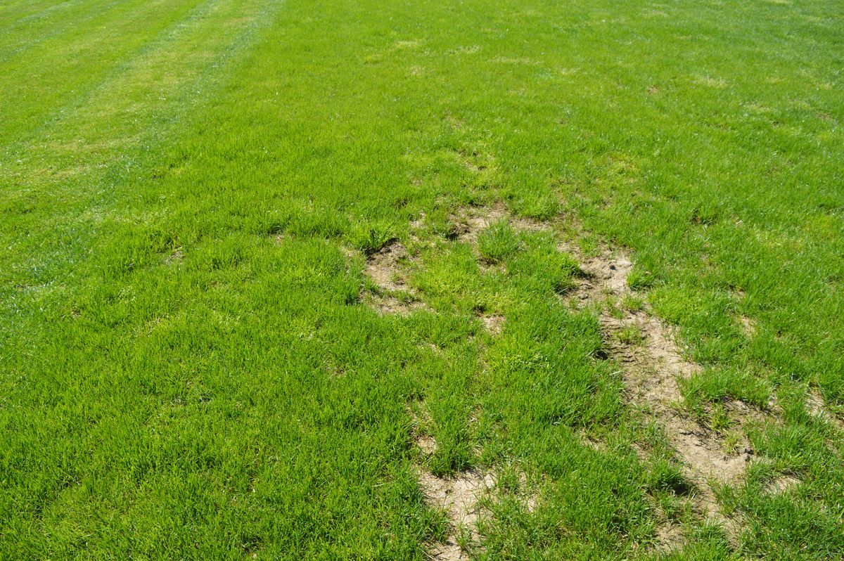 Aici e „zona crepusculară” a diviziei secunde » Cum a ajuns Comuna Recea „sperietoarea” cluburilor din Liga 2